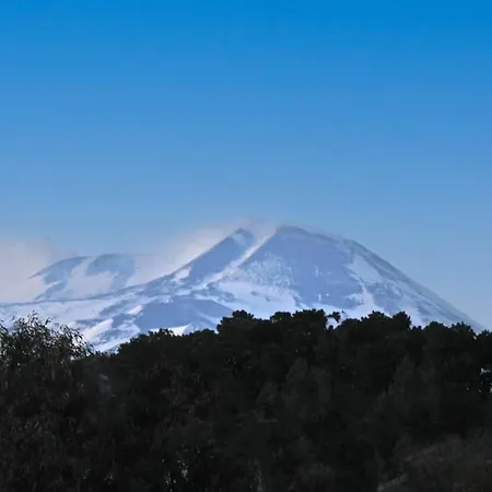 La Pietra Nera - Etna 住宿加早餐酒店 卡塔尼亚